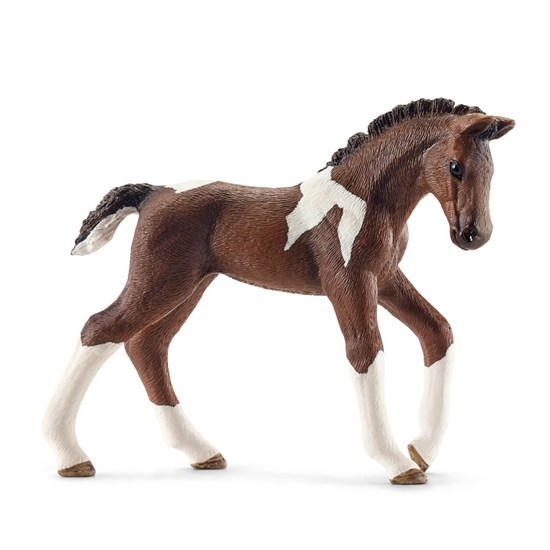 13758 TRAKEHNER VEULEN 3+