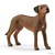 13895 schleich rood RHODESIAN RIDGEBACK LEEUWHOND bruin