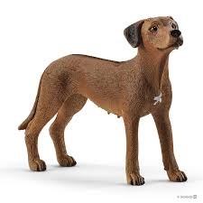 13895 schleich rood RHODESIAN RIDGEBACK LEEUWHOND bruin