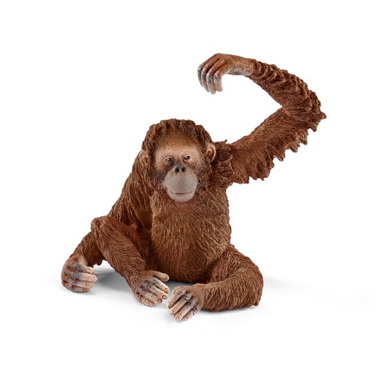 14775  schleich OERANG OETANG vrouwtje met BEWEGENDE ARM 3+