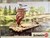 42063 schleich ARELAN VLOT   5+