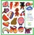 Djeco 60 Vilt Stikcers de Grappige 18mnd+  
