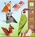 Djeco Origami Level 3 Boswandeling 7+ 