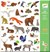Djeco Stickers Fauna 160stuks 4+ 