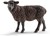 13785 Schleich ZWART SCHAAP 3+