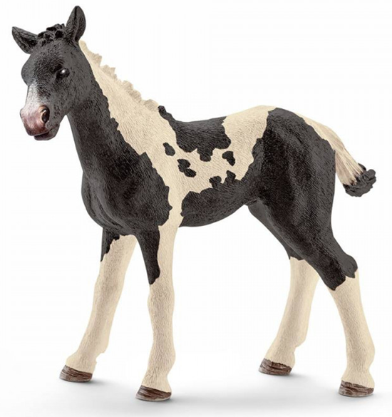 13803 schleich PINTO veulen zwart/wit 3+