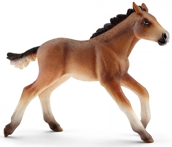 13807 schleich Mustang Veulen 3+