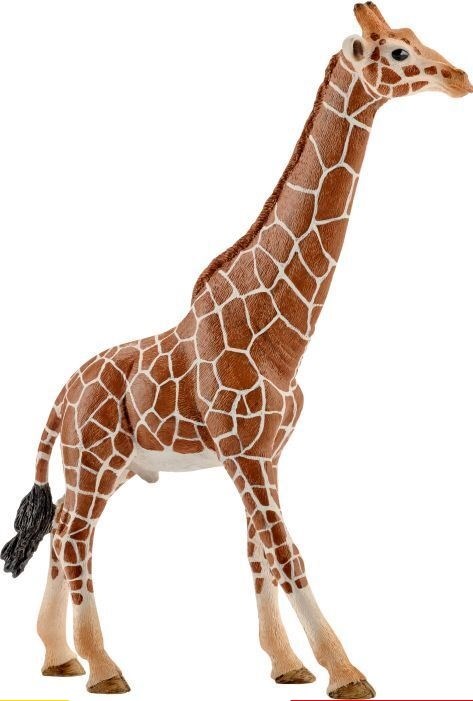 14749 schleich Giraffe Mannetje 3+