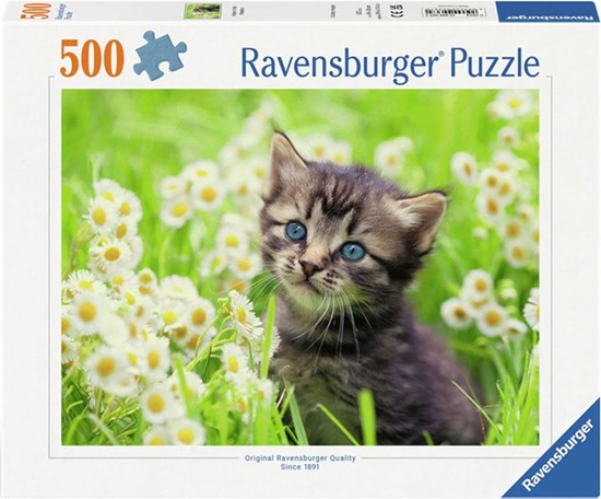 Puzzel Kitten in the Meadow 500Stukken 