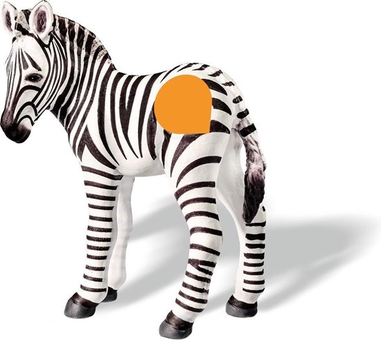 tip toi ZEBRA VEULEN