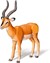 Tiptoi Interactieve ANTILOPE