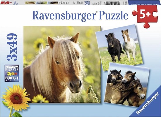 Schattige Pony's puzzel 3x49 stukjes 5+ 