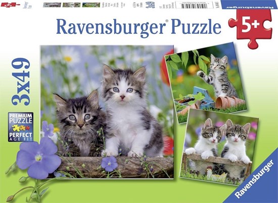 Jonge Katjes puzzel 3x49 stukjes 