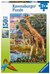 Puzzel Giraffen in de Savanne 150 XXLStukken 7+ 