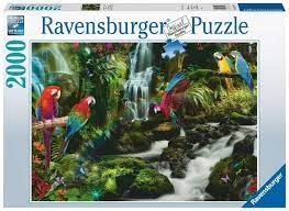 Bonte Papegaaien in de Jungle puzzel 2000 stukjes 