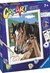 CreArt Paard met Veulen in de Wei met Lijst S.O.N. 7+ 