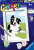 CreArt ravensburger Schilderen op Nummer Border Collie 7+ 