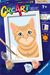 CreArt ravensburger Schilderen op Nummer Oranje Tabby Kat 7+ 