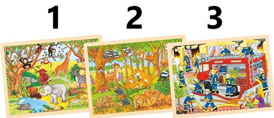 Goki Houten puzzel assorti 48dlg  