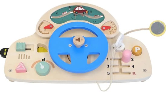 Speilmaus Activity Auto Dashboard hout 12mnd+