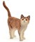 13836 schleich Staande Kat 3+ 