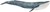 14806 Schleich Blauwe Walvis 3+ 
