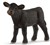 13880 rood schleich ANGUS KALF ZWART staand 3+