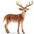 14818 schleich Virginia Hert 3+