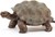 14824 schleich Reuzenschildpad 3+