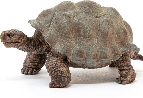 14824 schleich Reuzenschildpad 3+
