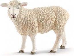 13882 Schleich Schaap 3+