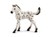 13890 Schleich Knabstrupper veulen 3+