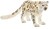 14838 Schleich Sneeuw Luipaard 3+
