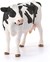 13797 schleich Zwart Bonte Koe 3+