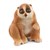 14852 schleich Plompe Lori 3+