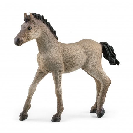 13949 Schleich Criollo Definitivo Veulen