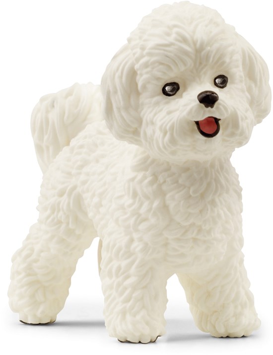 13963 schleich Bichon Frisé 3+ 