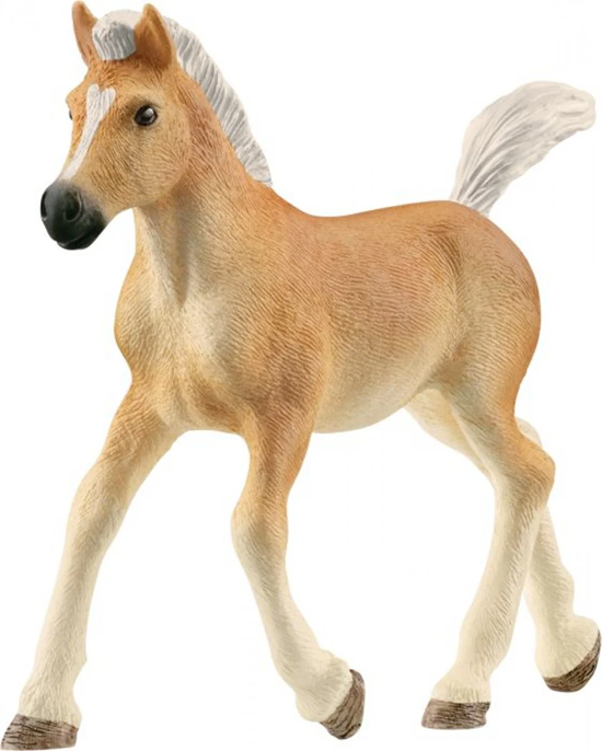 13951 schleich Haflinger Veulen 3+ 