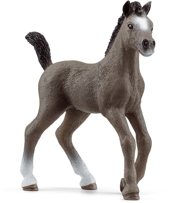 13957 Schleich Frans Zadelpaard Veulen 3+ 