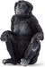 14875 Schleich BONOBO VROUWTJE 3+
