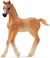 13984 schleich Arabisch Veulen Beige 3+