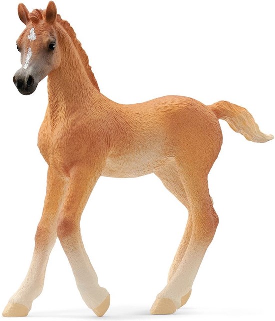 13984 schleich Arabisch Veulen Beige 3+