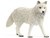 14880 Schleich Witte Lopende Poolwolf 3+ 