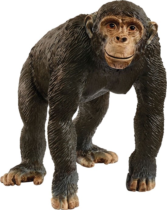 14883 schleich WILD LIFE Chimpansee 3+