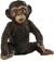 14884 Schleich WILD LIFE Chimpanseejong 3+