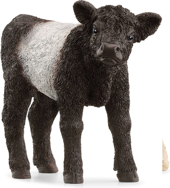 13969 schleich Galloway Kalf 