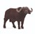 14872 schleich Afrikaanse Buffel 3+