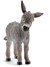 13746 schleich Ezel Veulen 3+
