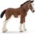 13810 Schelich Clydesdale Veulen 3+ 
