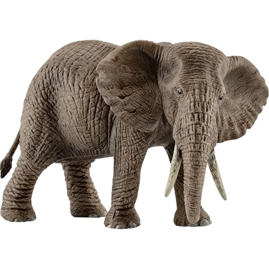 14761 Schleich Wild Life Afrikaanse Olifant Vrouwtje 3+
